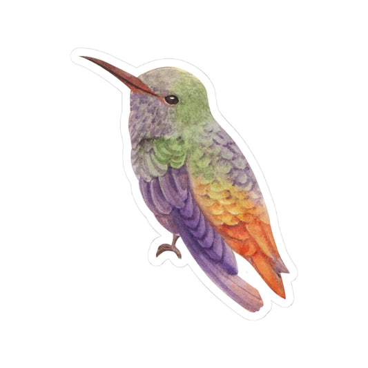 Vibrant Hummingbird Kiss-Cut Stickers - Colorful Nature Decor for Laptops, Water Bottles, Journals, Gifts, Crafts